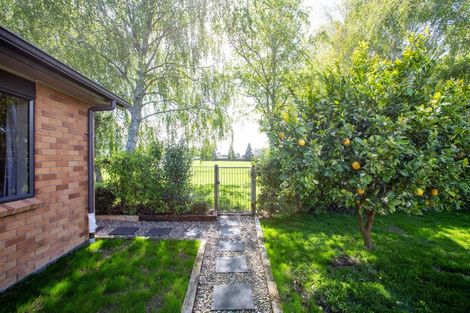 Photo of property in 24a Morris Road, Hillcrest, Hamilton, 3216