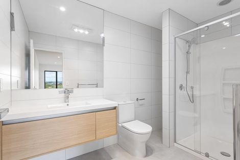 Photo of property in 45 Parkmore Drive, Rosehill, 2113