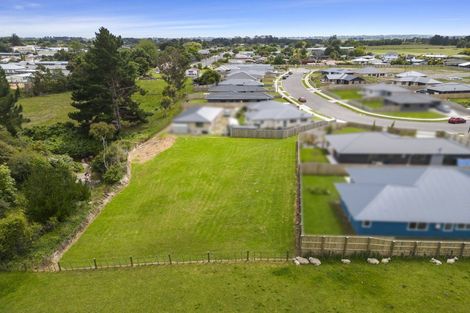 Photo of property in 24 Oldfield Lane, Marton, 4710