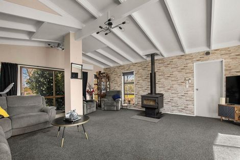 Photo of property in 16 Waipuna Road, Springvale, Alexandra, 9391