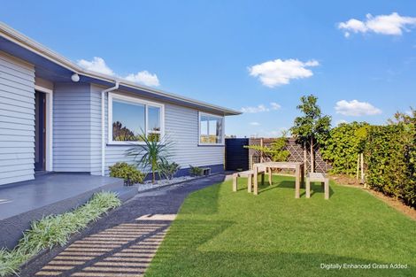 Photo of property in 191 Omata Road, Blagdon, New Plymouth, 4310