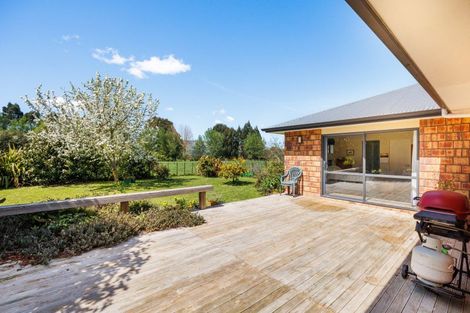 Photo of property in 946f Finnis Road, Pohangina, Ashhurst, 4884