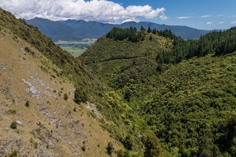 Photo of property in 742 Rameka Creek Road, East Takaka, Takaka, 7183