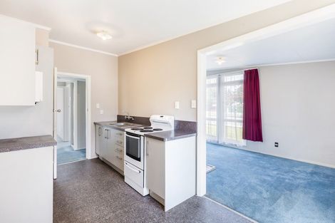 Photo of property in 58 Tureiti Place, Turangi, 3334