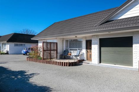 Photo of property in 6/76 Seymour Street, Blenheim, 7201