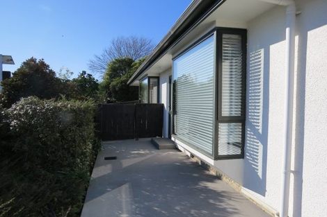 Photo of property in 124 Salisbury Road, Richmond, 7020