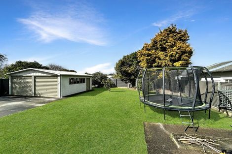 Photo of property in 110 Savage Crescent, West End, Palmerston North, 4412