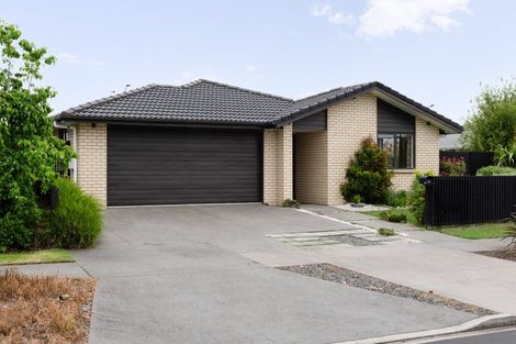 Photo of property in 31 Lulu Avenue, Chartwell, Hamilton, 3210