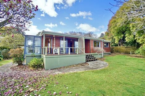 Photo of property in 37 Cameron Road, Te Puke, 3119