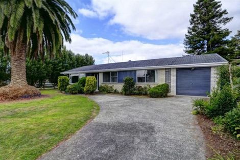 Photo of property in 41 Vernall Street, Nawton, Hamilton, 3200