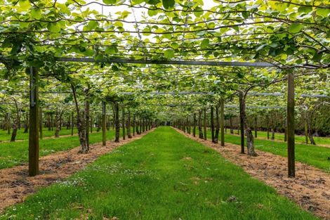 Photo of property in 706 No 1 Road, Te Puke, 3182