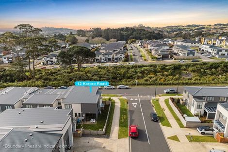 Photo of property in 12 Karoro Road, Flat Bush, Auckland, 2019