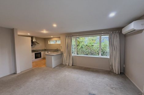 Photo of property in 46a Wellington Street, Phillipstown, Christchurch, 8011