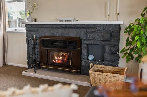 Photo of property in 1 The Drive, Brookfield, Tauranga, 3110