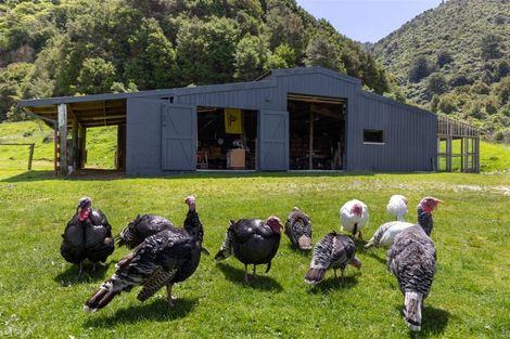 Photo of property in 159 Lindens Road, Mount Pleasant, Blenheim, 7273