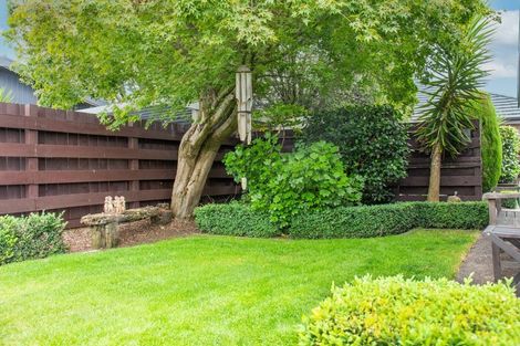 Photo of property in 178a Chapel Street, Masterton, 5810