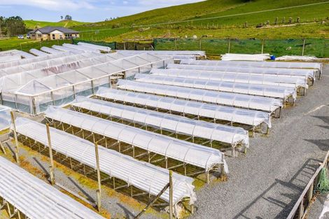 Photo of property in 413 Otaika Valley Road, Otaika, Whangarei, 0170