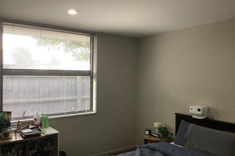 Photo of property in 3b The Oval, Hillmorton, Christchurch, 8024