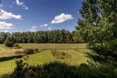 Photo of property in 195r Oropi Road, Oropi, Tauranga, 3173