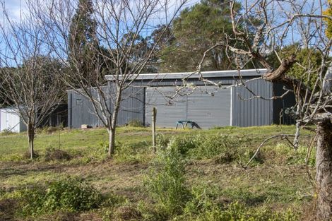 Photo of property in 308 Athenree Road, Athenree, Katikati, 3177