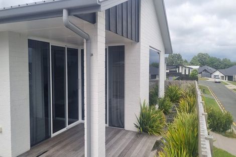 Photo of property in 50 Pinkerton Place, Ohauiti, Tauranga, 3112