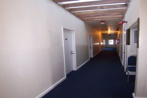 Photo of property in 113 Coromandel Street, Newtown, Wellington, 6021