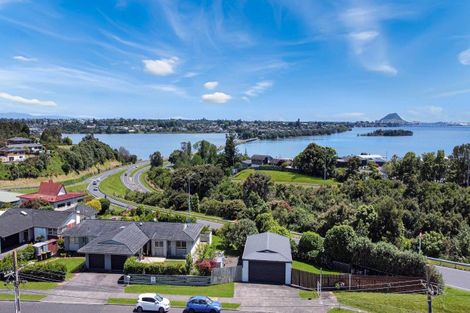 Photo of property in 31 Wickham Place, Hairini, Tauranga, 3112