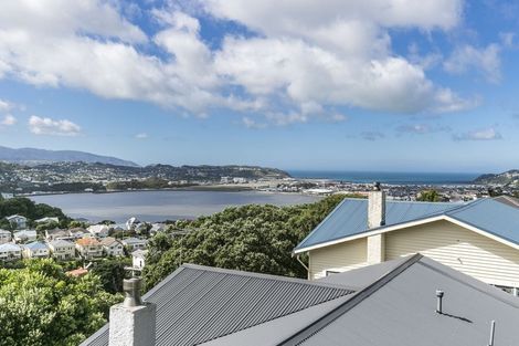 Photo of property in 46 Rakau Road, Hataitai, Wellington, 6021