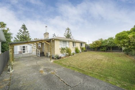 Photo of property in 24 Potaka Street, Marton, 4710