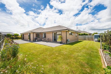 Photo of property in 33 Accolade Street, Feilding, 4702