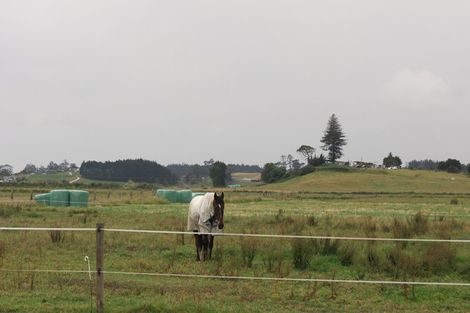 Photo of property in 39 Notorious Road West, Dargaville, 0371