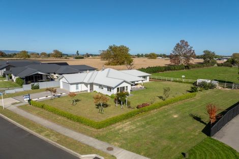 Photo of property in 33 Kaimai Drive, Matamata, 3400