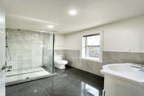 Photo of property in 85 Tiro Tiro Road, Levin, 5510