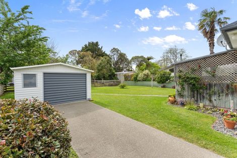Photo of property in 34 Lewis Avenue, Aramoho, Whanganui, 4500