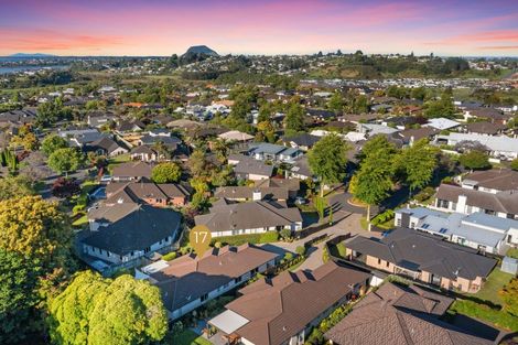 Photo of property in 17 Hansard Place, Bethlehem, Tauranga, 3110