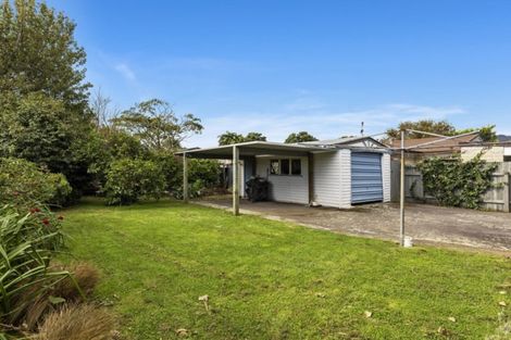 Photo of property in 17 Trinity Avenue, Epuni, Lower Hutt, 5011