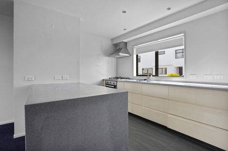 Photo of property in 195u1 Massey Street, Frankton, Hamilton, 3204