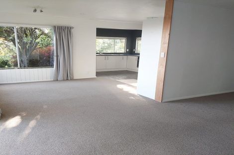 Photo of property in 351 Hill Street, Richmond, 7020