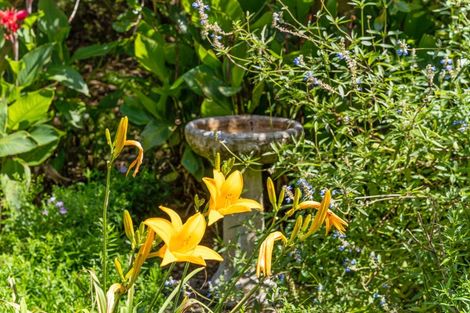 Photo of property in 204 Omaha Valley Road, Big Omaha, Warkworth, 0985