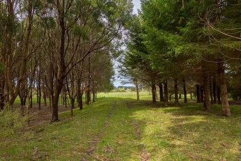 Photo of property in 960 Norfolk Road, Upper Plain, Carterton, 5791