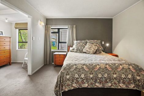 Photo of property in 117 Lowe Avenue, Thames, 3500