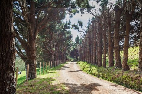 Photo of property in 104 Harrison Hill Road, Aokautere, Palmerston North, 4471