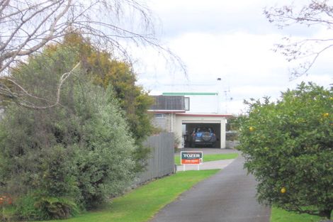 Photo of property in 4a Winchester Terrace, Bethlehem, Tauranga, 3110