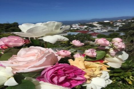 Photo of property in 82 Todman Street, Brooklyn, Wellington, 6021