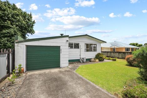 Photo of property in 207b Heale Street, Thames, 3500