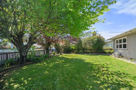 Photo of property in 157 Colombo Road, Masterton, 5810