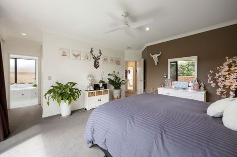 Photo of property in 11 Soma Place, Cambridge, 3434