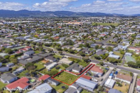 Photo of property in 44a Duke Street, Levin, 5510