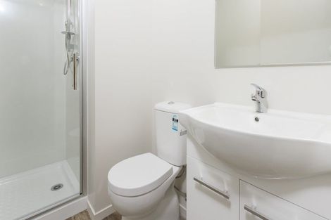 Photo of property in 32 Abbotsford Street, Whitiora, Hamilton, 3200