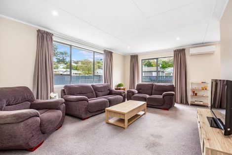 Photo of property in 58 Desert Gold Street, Ascot Park, Porirua, 5024